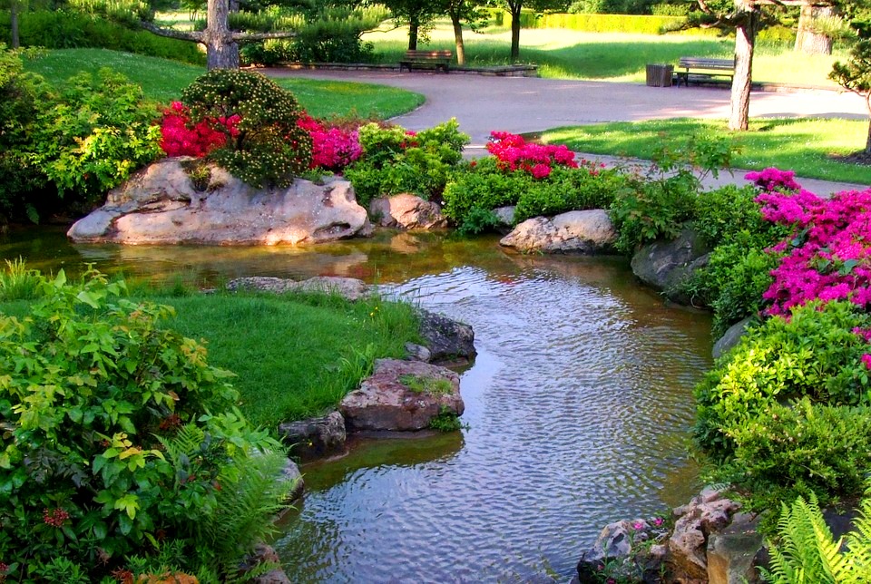 low-water zen garden