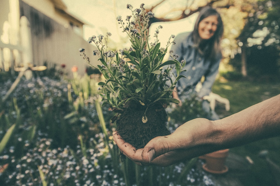 gardening tools