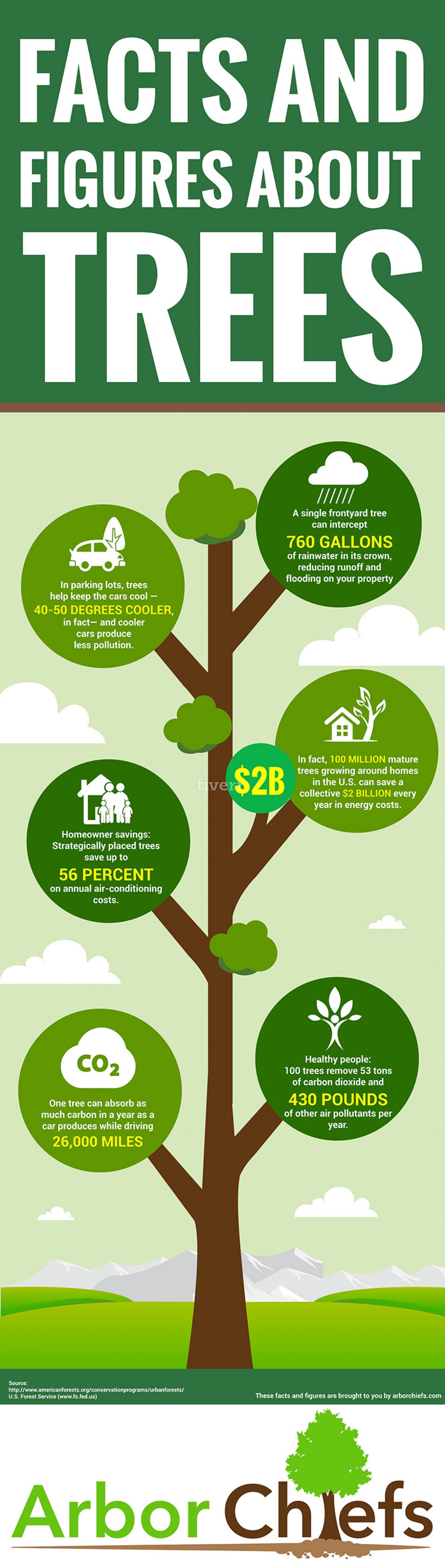 Amazing Facts About Trees Five Amazing Facts About Trees Did You - Riset