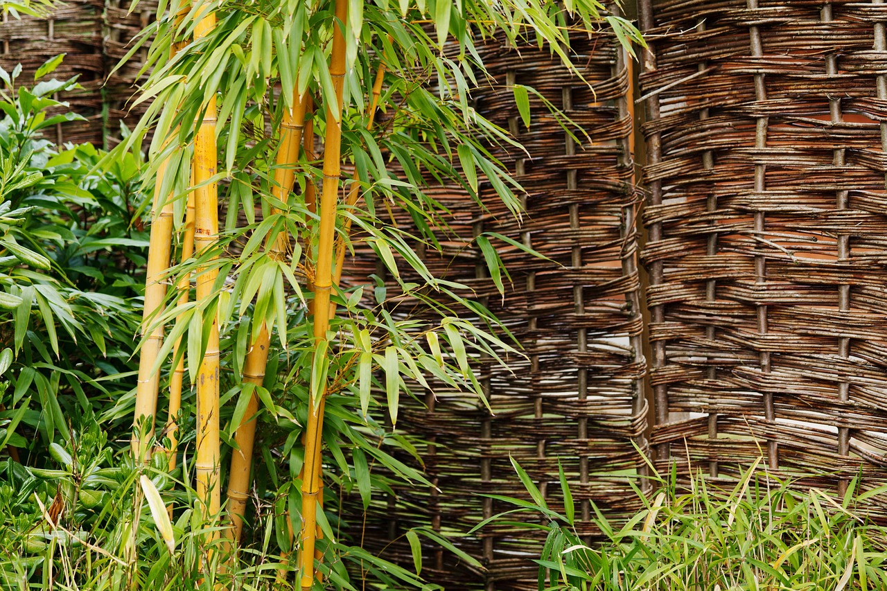 bamboo products are more sustainable