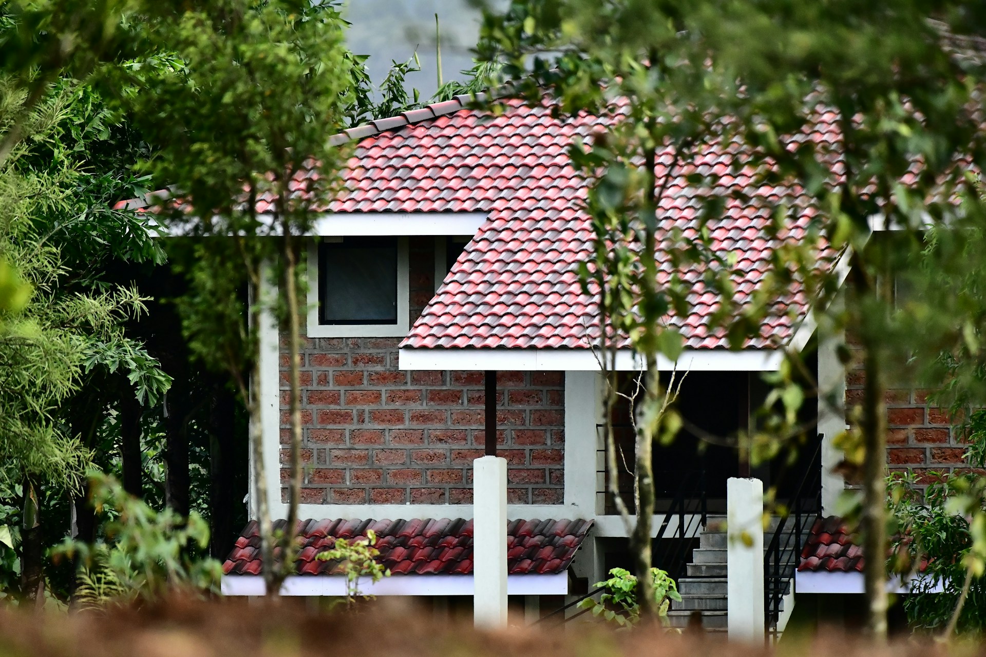 green roofing options