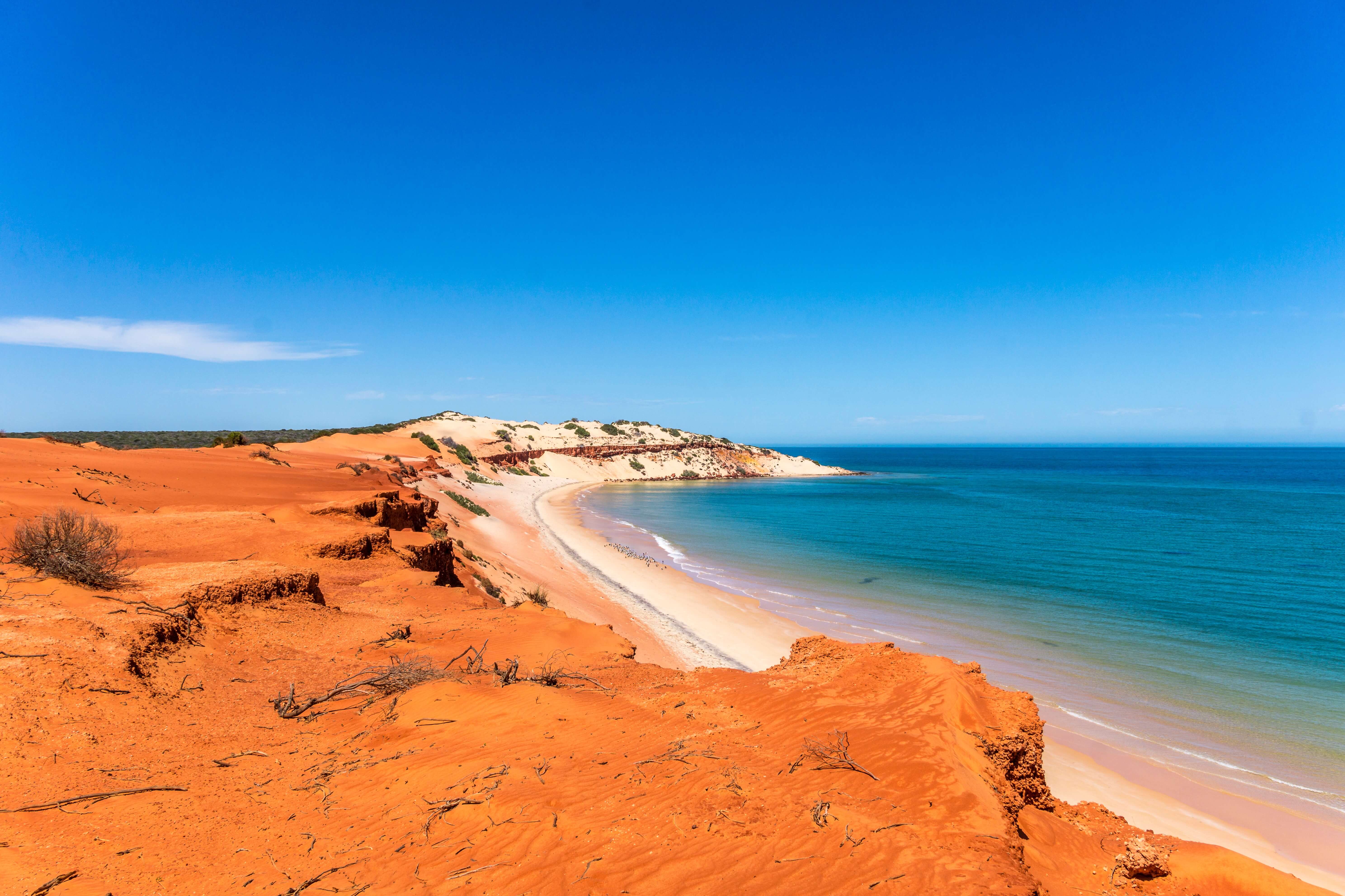 beautiful-australia-a-perfect-destination-for-eco-conscious-travelers