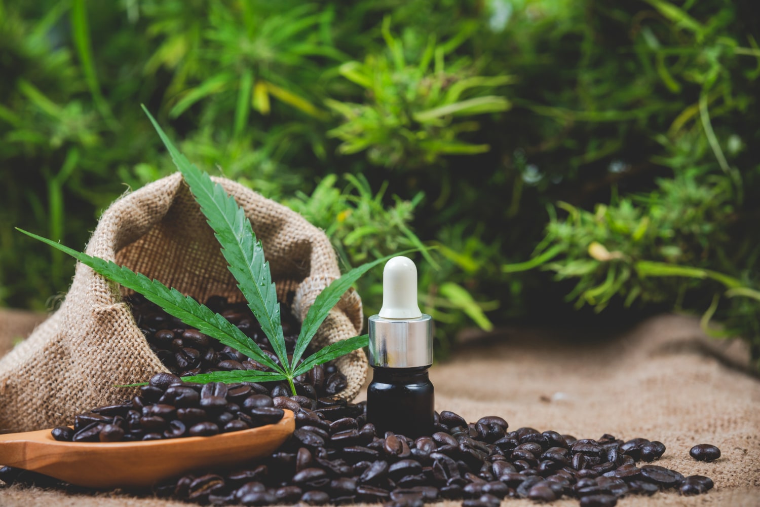 CBD products for aging