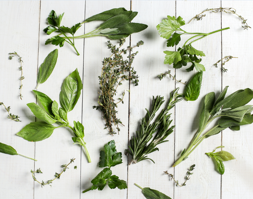 herbs for brain and body